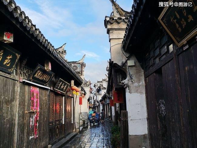 奥日与黑暗森林